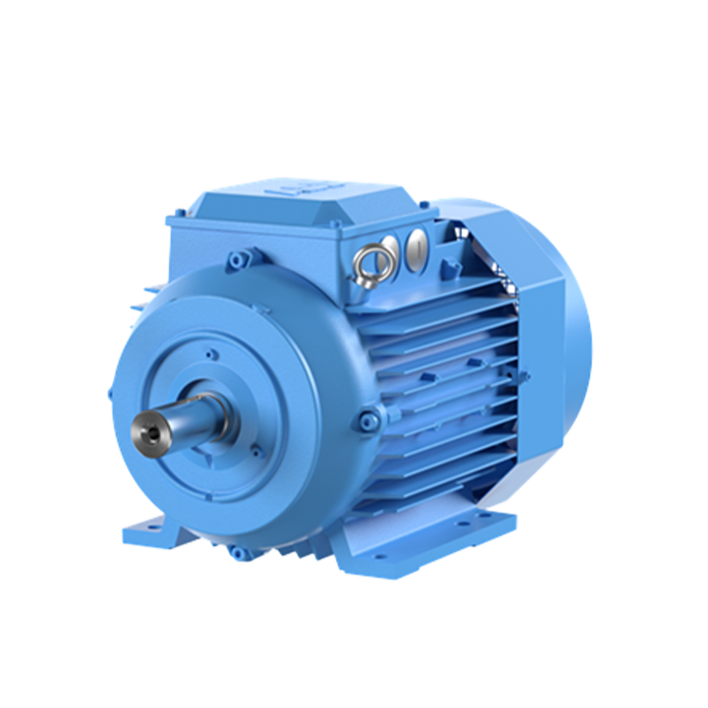 Hazardous Location Motors